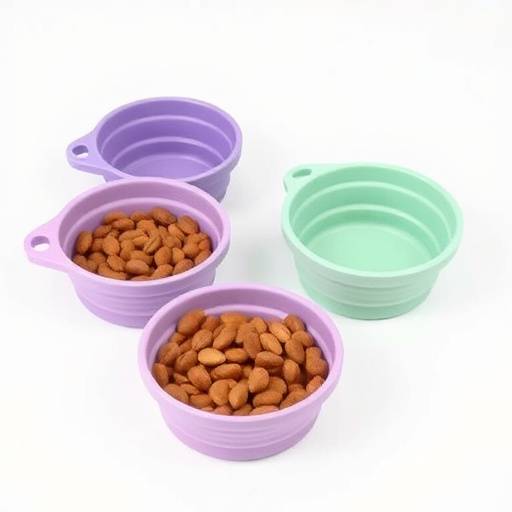 Set de cuencos de viaje plegables de silicona para agua y comida de mascotas
